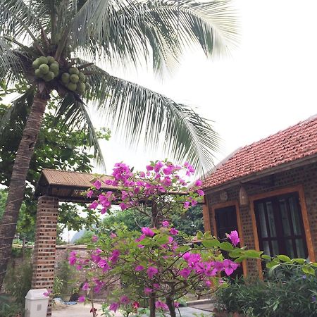 Tam Coc Vinh Thinh Homestay Ninh Binh Exterior photo