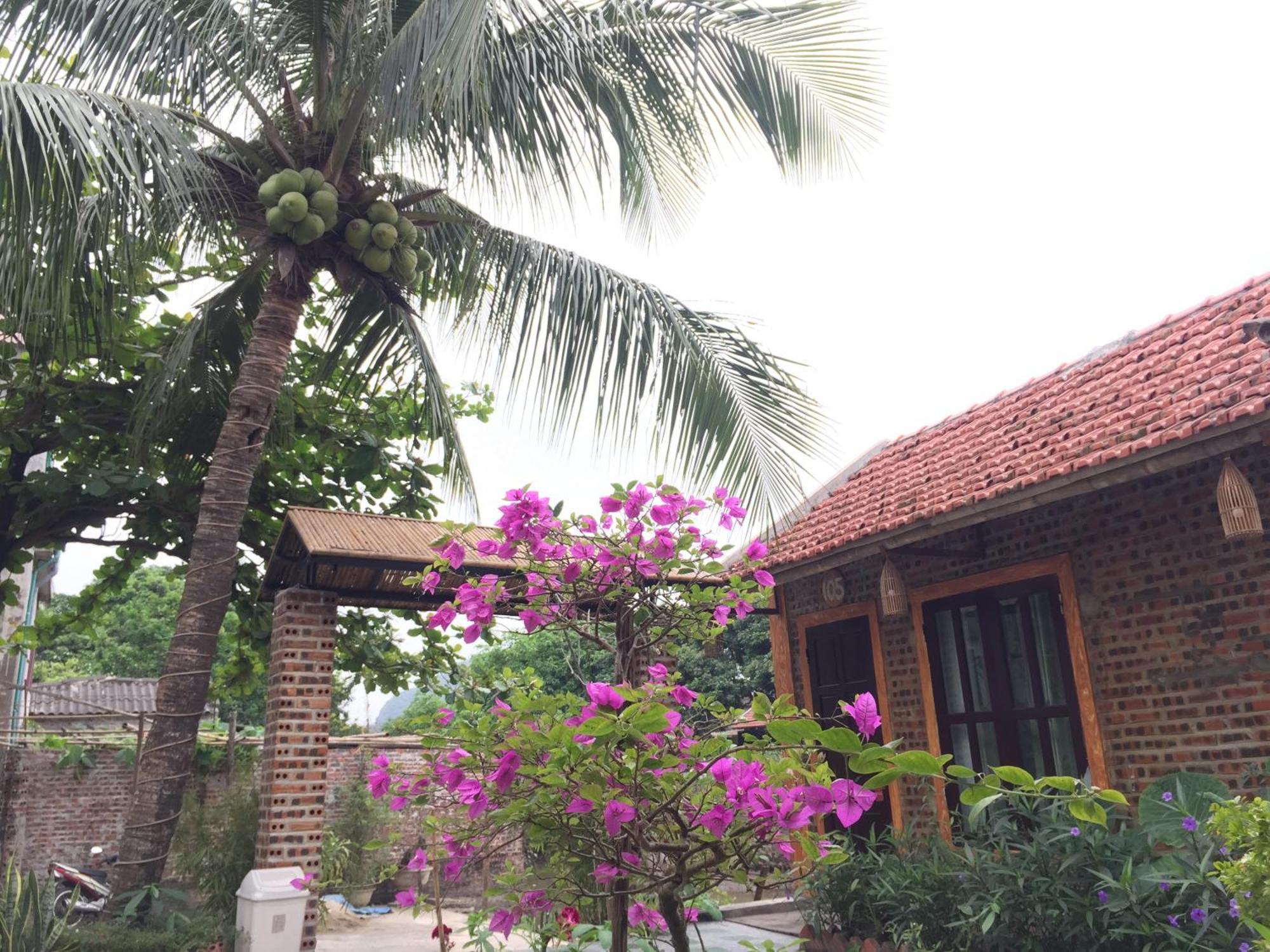 Tam Coc Vinh Thinh Homestay Ninh Binh Exterior photo