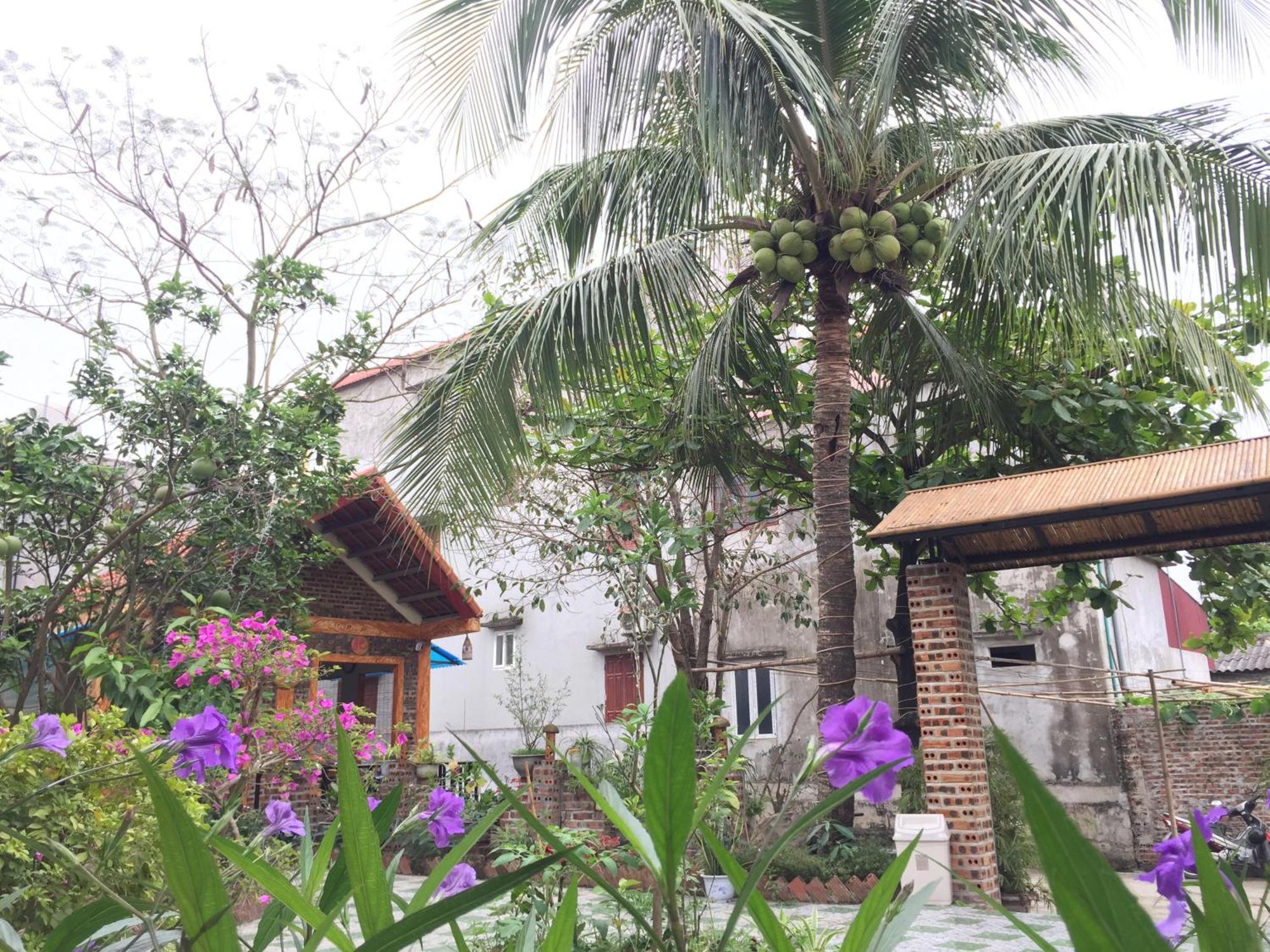 Tam Coc Vinh Thinh Homestay Ninh Binh Exterior photo