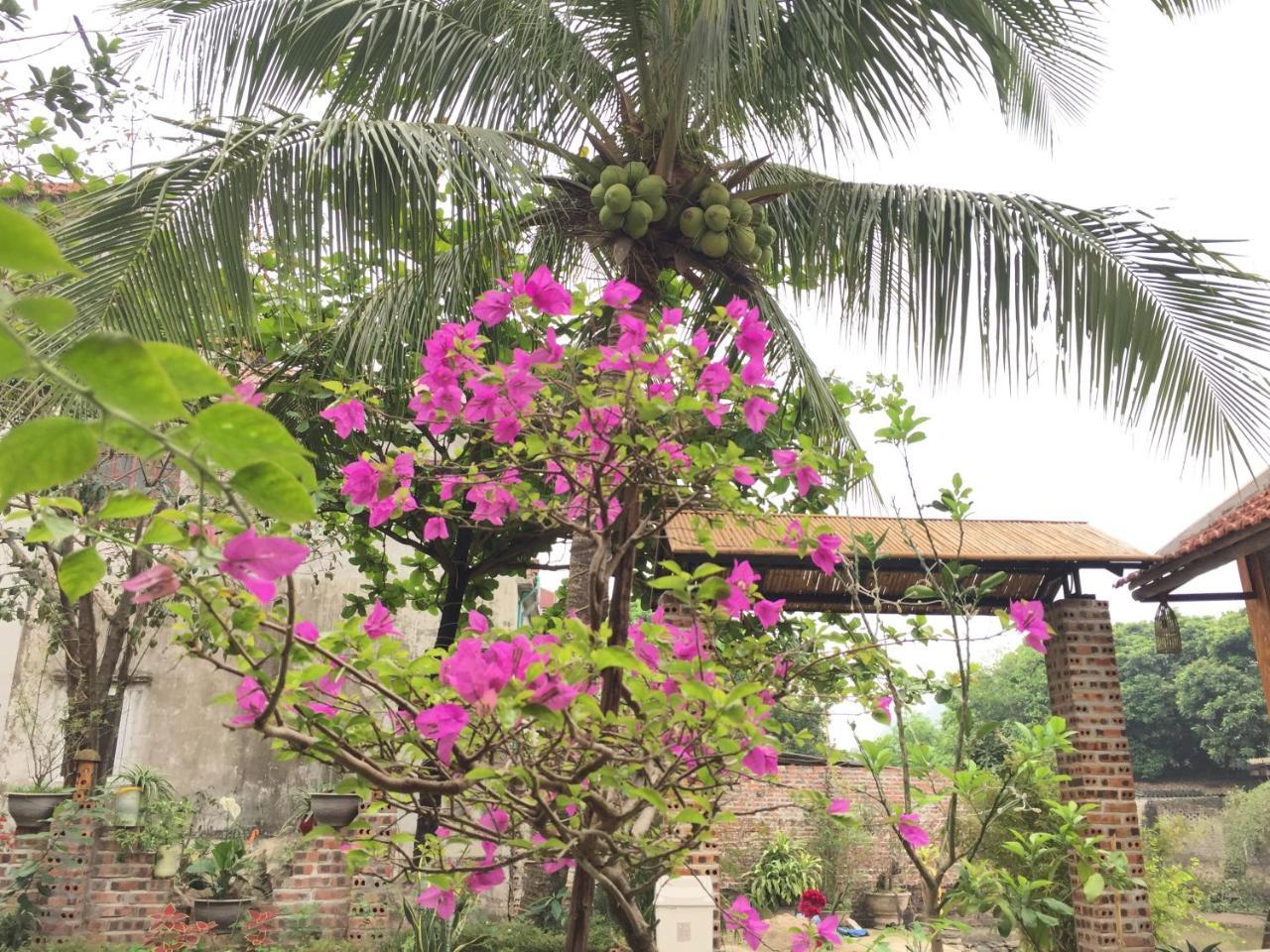 Tam Coc Vinh Thinh Homestay Ninh Binh Exterior photo