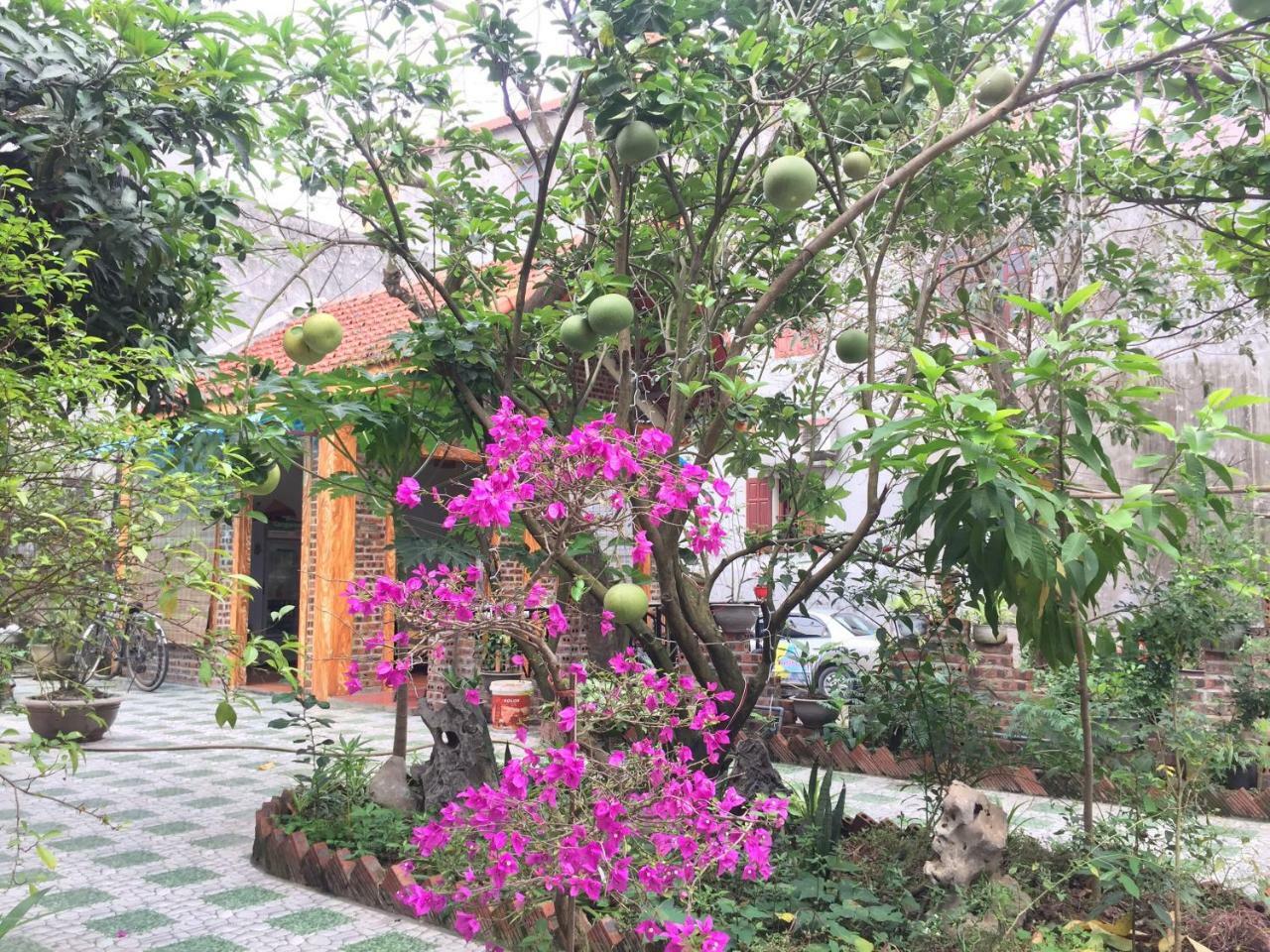 Tam Coc Vinh Thinh Homestay Ninh Binh Exterior photo