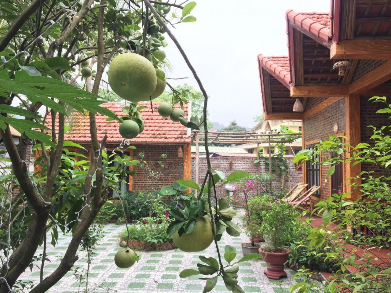 Tam Coc Vinh Thinh Homestay Ninh Binh Exterior photo